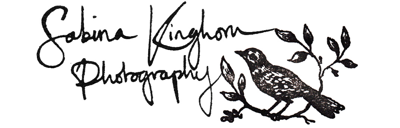 Sabina Kinghorn Photography logo